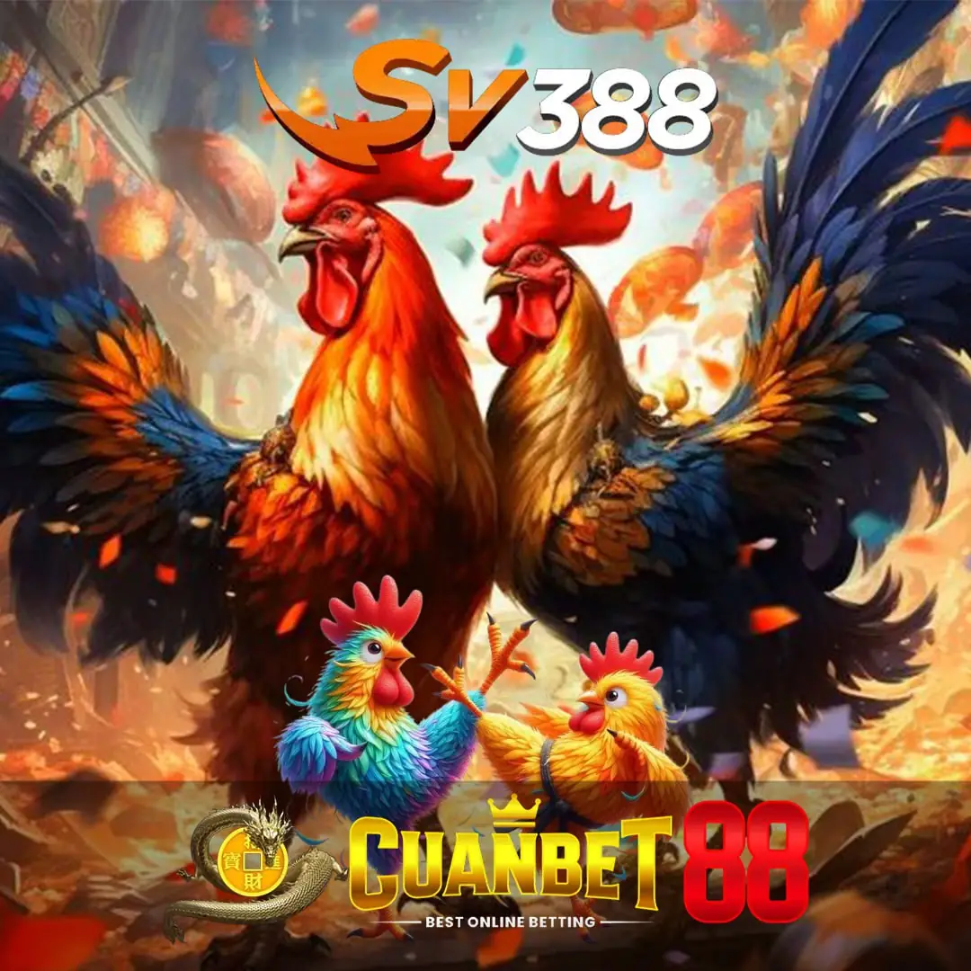 SV388: Agen Situs Sabung Ayam Online Resmi 24 Jam Live Wala Meron